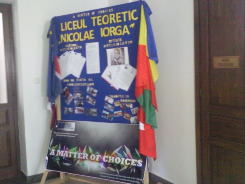 1 panou LTNI